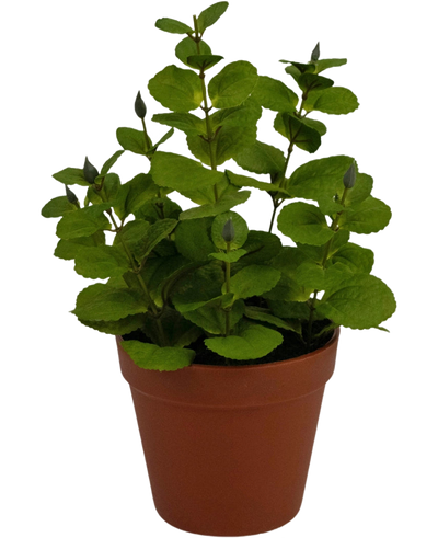 De Kunstplant Mint 30 cm is een kleine kunstplant met ronde groene bladeren in een bruine plastic pot, tegen een effen witte achtergrond.