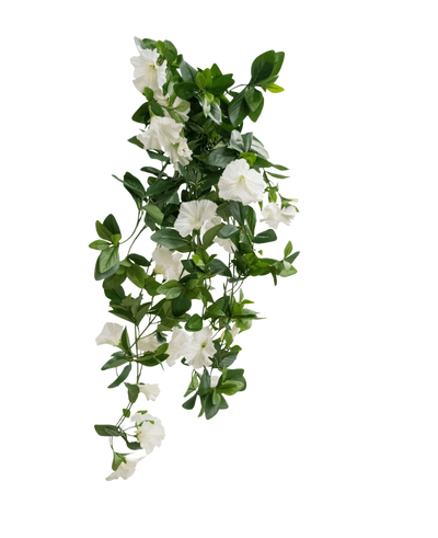 De Kunst hangplant Petunia 70 cm wit heeft groene bladeren en witte trompetvormige bloemen in een trapsgewijs wijnstokachtig ontwerp, tegen een effen witte achtergrond.