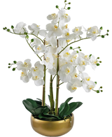 De Kunst Orchidee Real Touch 50 cm wit heeft witte orchideeënbloemen met een geel hart op hoge groene stelen en weelderige groene bladeren, prachtig gerangschikt in een glanzende gouden pot.