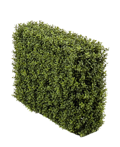 De Kunst Buxushaag UV 70x20x50 cm, een dichte groene rechthoekige haag met kleine blaadjes, wordt getoond in een UV-beschermde kunststof plantenbak tegen een effen witte achtergrond.