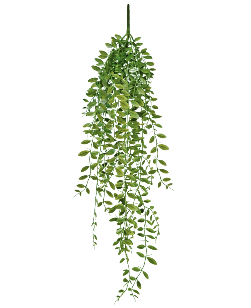 The Artificial Hanging Plant Succulent Plant 76 cm has green leaves and thin stems against a plain white background.
