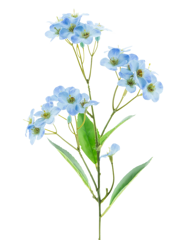 Een Kunstbloem Orchidee Real Touch Blauw 50 cm met trossen tere lichtblauwe bloemen en enkele groene blaadjes staat tegen een effen witte achtergrond.