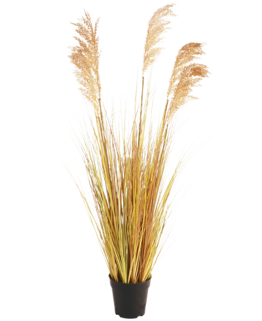 The Artificial Grass Plant Sorghum 110 cm fire retardant has long, yellow-green leaves and feathery brown plumes in a black pot - ideal to give your Boho interior a stylish flair against a plain white background.