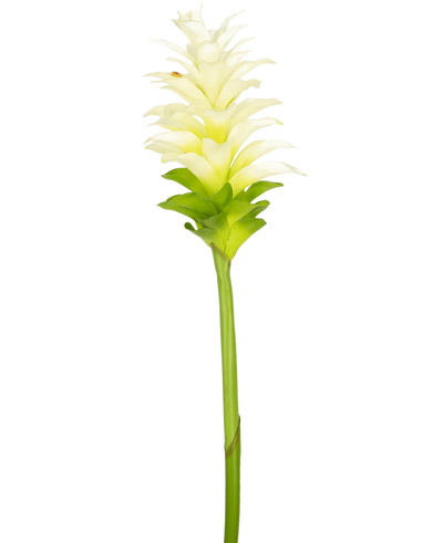 De Kunstbloem Turmeric 80 cm is een enkele kunstmatige geel-witte kurkuma bloem met gelaagde bloemblaadjes en een lange groene steel, geïsoleerd op een effen witte achtergrond.