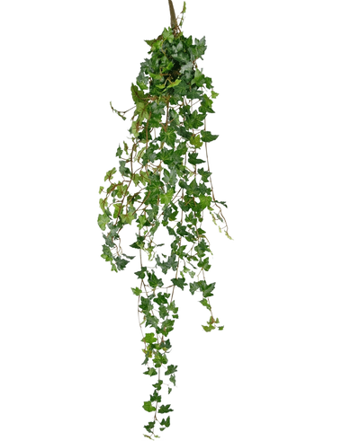 De Kunst hangplant Klimop deluxe 120 cm groen heeft dichte, puntige groene klimopbladeren en slingerende wijnranken tegen een effen witte achtergrond.