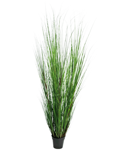 De Kunst Grasplant Onion 170 cm is een hoge, brandvertragende kunstgrasplant met lange, dunne groene sprieten in een compacte zwarte pot, afgebeeld tegen een effen witte achtergrond.