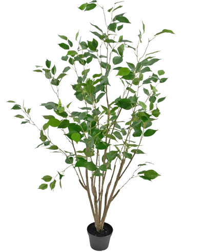 De Kunstplant Ficus 120 cm is een hoge kunstplant in pot met meerdere slanke bruine stengels en weelderige groene bladeren, in een compacte zwarte pot tegen een effen witte achtergrond.