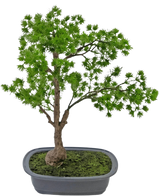 De Kunstplant Bonsai Juniper 40 cm heeft een slanke stam en weelderig groen blad en staat in een ondiepe rechthoekige grijze pot met mos. De achtergrond is effen wit.