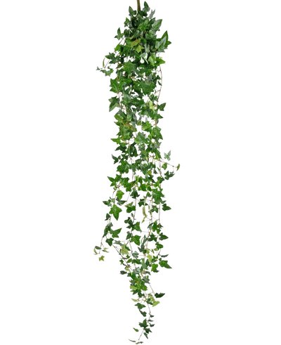 The Artificial hanging plant Ivy Boston 180 cm green has long, hanging green stems with pointed leaves that fall down against a plain white background.