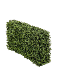 Artificial Boxwood Hedge 100 x 20 x 50cm – UV-resistant-Resistant