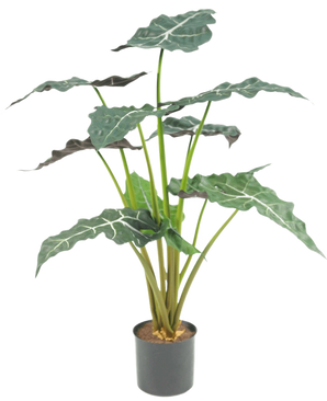 De Kunstplant Alocasia UV 67 cm is een kunstpotplant met grote, donkergroene, pijlvormige bladeren en opvallende witte nerven, afgebeeld tegen een effen witte achtergrond.