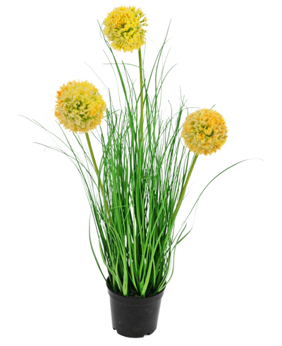 De Kunst Grasplant Ui 50 cm brandvertragend heeft lange, dunne groene bladeren en drie ronde gele pluizige bloemen op hoge stelen, die groene tuin charme toevoegen tegen een effen witte achtergrond.