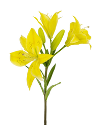 Artificial flower Asian lily 66 cm yellow
