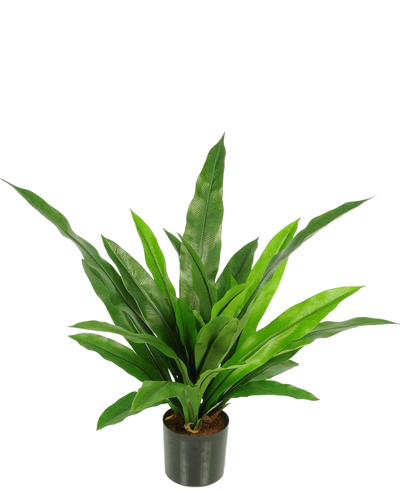 De Kunstplant Bird's Deluxe 60 cm is een groene kamerplant in pot met lange, smalle, puntige bladeren in een zwarte pot tegen een effen witte achtergrond.