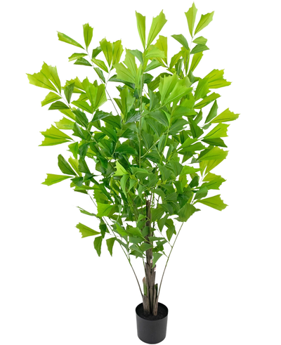 De Kunstplant Fishtailpalm 150 cm is een hoge, bladgroene kunstplant met slanke stengels en brede, waaiervormige bladeren, in een kleine zwarte pot tegen een witte achtergrond.