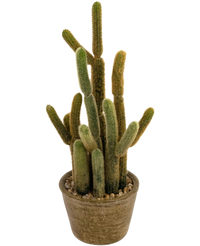 Artificial Cactus Cereus 35 cm
