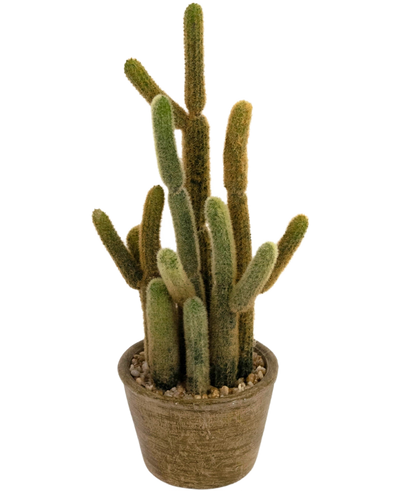 De Kunst Cactus Cereus 35 cm heeft meerdere lange, groene donzige stengels van verschillende hoogtes, die omhoog en naar buiten groeien vanuit een ronde bruine pot gevuld met kleine steentjes.