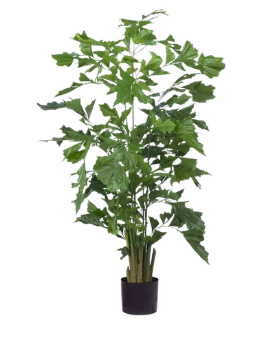 De Kunstplant Fishtail Palm 160 cm heeft meerdere slanke stelen met groene, gekartelde bladeren in een strakke zwarte pot. Hij is ideaal als kunstpalm, voegt een stijlvol accent toe aan elk modern interieur en steekt af tegen elke achtergrond.