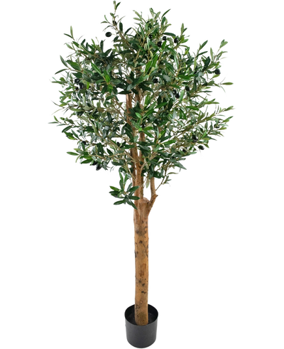De Kunst olijfboom UV 155 cm is een Easyplants kunstplant in pot met een hoge bruine stam, dichte groene bladeren en kleine zwarte olijven, elegant tegen een effen witte achtergrond.