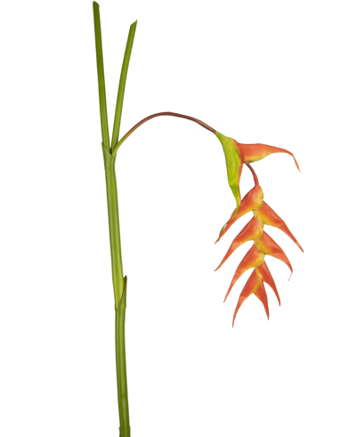 Een enkele Kunstbloem Heliconia 120 cm rood met opvallende rode schutbladeren en een groene steel, geïsoleerd op een witte achtergrond.