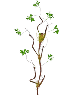 The Artificial Branch Enkianthus 100 cm green, a slender artificial vine with small green leaves and moss accents, stands against a plain white background.
