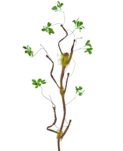 The Artificial Branch Enkianthus 100 cm green, a slender artificial vine with small green leaves and moss accents, stands against a plain white background.