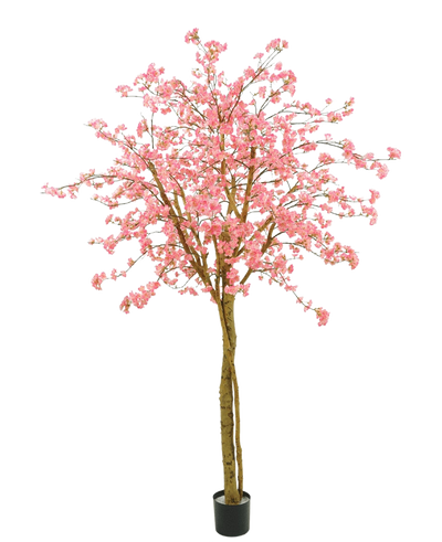 De Kunstboom Kersenbloesem roze 240 cm heeft roze bloemen, bruine takken en een zwarte pot tegen een effen witte achtergrond.