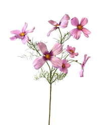 Artificial flower Cosmos 74 cm pink