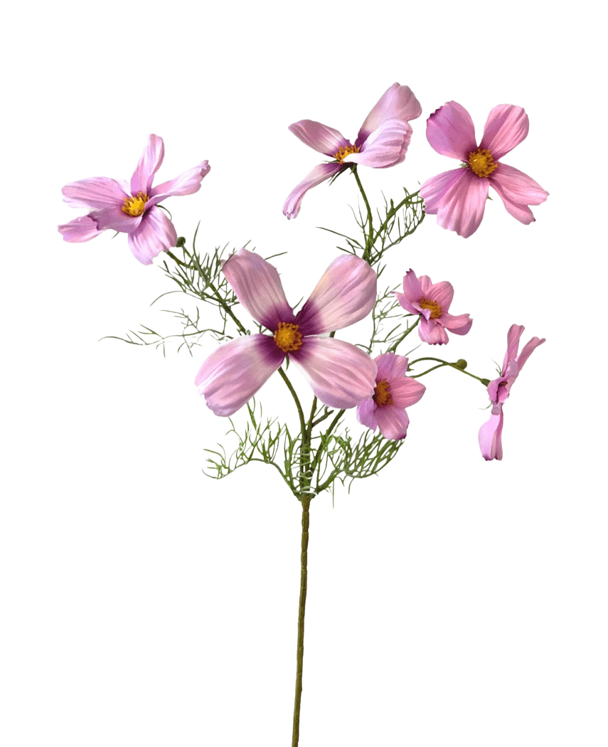 The Artificial Flower Cosmos 74 cm pink has a single stem with multiple light pink cosmos flowers and delicate green leaves, beautifully displayed against a white background.