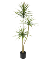 De Kunstplant Dracaena Fragnans 150 cm is een hoge kunstplant in pot met drie slanke stengels met piekerige groene bladeren tegen een effen witte achtergrond.