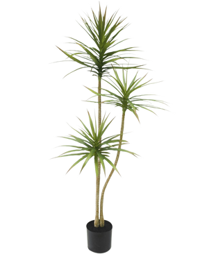 De Kunstplant Dracaena Fragnans 150 cm is een hoge kunstplant in pot met drie slanke stengels met piekerige groene bladeren tegen een effen witte achtergrond.