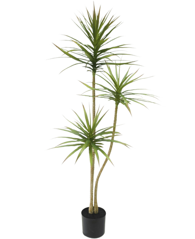 De Kunstplant Dracaena Fragnans 150 cm is een hoge kunstplant in pot met drie slanke stengels met piekerige groene bladeren tegen een effen witte achtergrond.