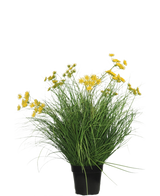 De Kunst Grasplant Asteraceae 70 cm brandvertragend heeft lange, dunne groene bladeren en trossen kleine gele bloemen in een zwarte pot, wat een onderhoudsvriendelijke kunstgrasplant is tegen een effen witte achtergrond.