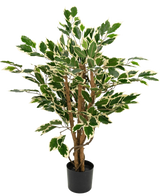 Artificial plant Ficus Green/white 90 cm with brown trunks and green leaves with white edges, shown against a plain white background.