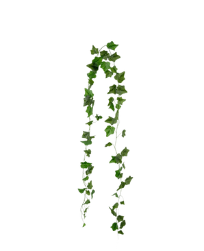 De Kunst Klimop Slinger 180 cm groen heeft puntige groene klimopbladeren die in twee strengen tegen een effen witte achtergrond hangen.