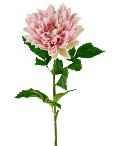 De Kunst Georgine Real Touch lichtroze 70cm is een enkele lichtroze dahlia met gelaagde bloemblaadjes en groene bladeren op een lange steel, tegen een effen witte achtergrond.