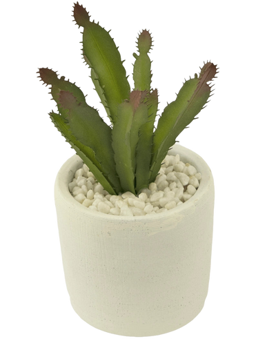 De Kunst vetplant 20 cm is een groene stekelige vetplant met roodachtige uiteinden in een witte pot van keramiek gevuld met witte kiezels, afgebeeld tegen een effen witte achtergrond.