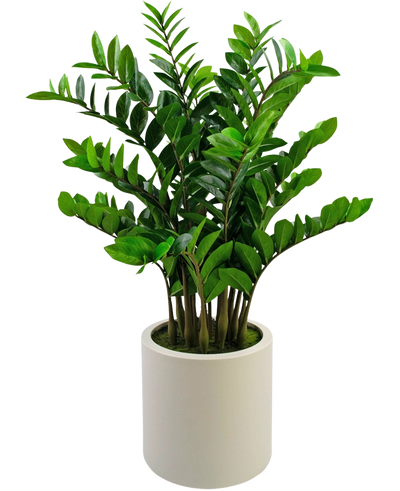 De Kunstplant Zamioculcas kant en klaar, 120 cm hoog met glanzend groene bladeren, staat rechtop in een eenvoudige beige pot tegen een effen witte achtergrond.
