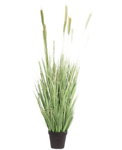 Kunst Grasplant Groen 160 cm brandvertragend heeft lange, slanke sprieten en zaadhoofden in een kleine zwarte pot. Ideaal als stijlvolle, brandvertragende nepplant voor elke ruimte.