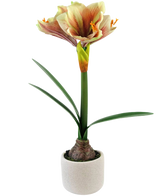 De Kunstbloem Amaryllis Real Touch Rood/geel 48 cm heeft een realistische amaryllis met lange groene bladeren en een grote roodgele bloem, in een compacte witte pot voor een levensechte decoratie.