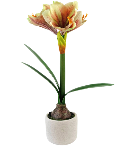 De Kunstbloem Amaryllis Real Touch Rood/geel 48 cm heeft een realistische amaryllis met lange groene bladeren en een grote roodgele bloem, in een compacte witte pot voor een levensechte decoratie.