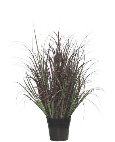 De Kunst Grasplant Wild Lawn 70 cm, brandvertragend, heeft donkergroene en roodpaarse smalle bladeren in een zwarte pot - perfect als onderhoudsvrije plant voor elk interieur.