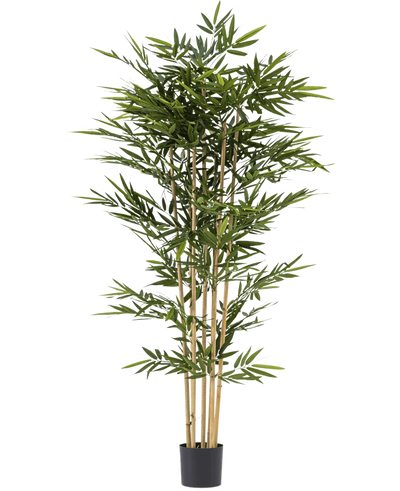 De Kunstplant Bamboe 210 cm is een hoge kunstbamboe met slanke groene bladeren en meerdere gele stengels, in een kleine zwarte pot tegen een witte achtergrond.
