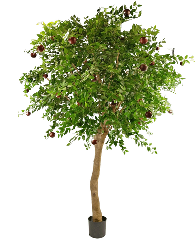 De Kunst Appelboom 240 cm is een hoge boom in pot met een dikke stam, dichte groene bladeren en verschillende rode appels aan de takken tegen een effen witte achtergrond.