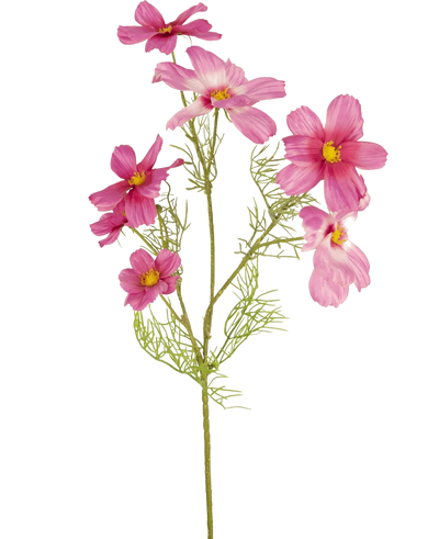 Een enkele Kunstbloem Cosmos 74 cm fuchsia met delicate, gevederde bladeren en meerdere fuchsia bloemen met gele harten wordt getoond tegen een effen witte achtergrond.