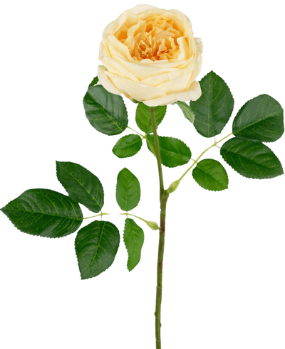 De Kunsttuinroos "Anniken" Real Touch geel 72cm heeft een enkele gele roos met meerdere groene bladeren op een lange steel, tegen een effen witte achtergrond.