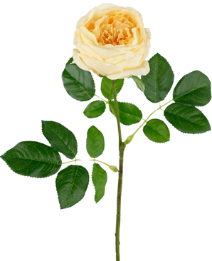 De Kunsttuinroos "Anniken" Real Touch geel 72cm heeft een enkele gele roos met meerdere groene bladeren op een lange steel, tegen een effen witte achtergrond.
