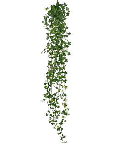 De Kunst hangplant Klimop deluxe 180 cm groen is een lange kunst klimop met veel kleine groene blaadjes, verticaal hangend tegen een effen witte achtergrond.