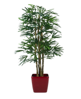 De Lady Kunstpalm 180 cm heeft slanke groene bladeren en meerdere dunne stelen in een glanzend rode vierkante plantenbak - een ideale groene kunstplant voor moderne interieurs.