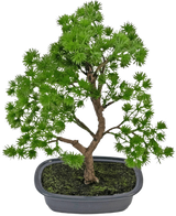 De Kunstplant Bonsai Juniper 30 cm heeft dicht heldergroen blad en een gedraaide stam, in een ondiepe grijze pot met donkere aarde, tegen een effen witte achtergrond.